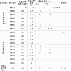 尼龍（NN）輸送帶NN100